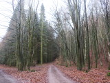 11_04_16.jpg