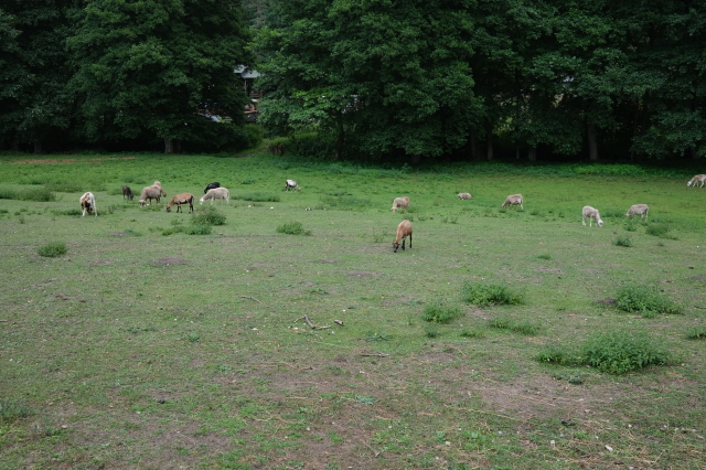 2021_08_08-13_42_16.jpg