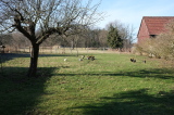 2022_02_13-10_39_35.jpg