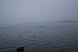 2022_02_27-11_56_21.jpg