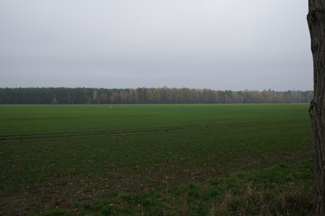2022_11_13-11_22_26.jpg