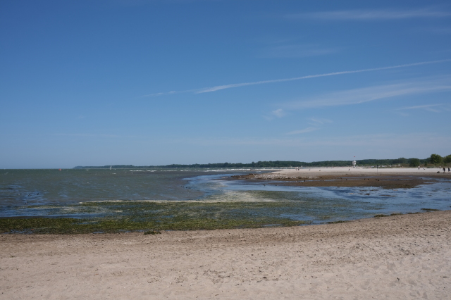 2023_06_11-14_23_24.jpg