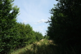 2024_07_07-11_18_03.jpg