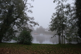 2024_11_10-09_06_52.jpg