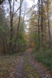 2024_11_10-10_04_04.jpg