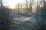 2024_12_01-08_28_49.jpg