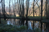 2024_12_01-11_08_35.jpg