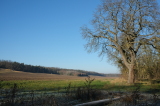 2024_12_01-12_18_09.jpg
