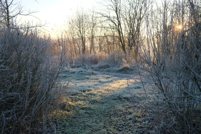 2024_12_01-08_28_49.jpg