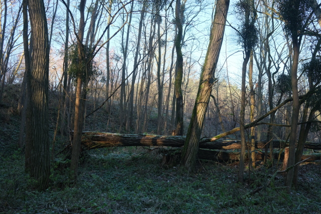 2024_12_01-13_47_27.jpg