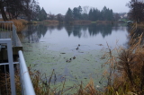2024_12_08-09_35_31.jpg