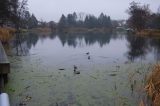 2024_12_08-09_35_36.jpg