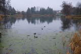 2024_12_08-09_36_00.jpg