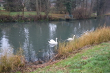 2024_12_08-09_43_01.jpg