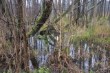 2024_12_08-10_09_50.jpg
