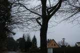 2024_12_08-11_52_30.jpg