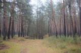 2024_12_08-13_04_26.jpg