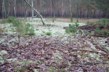 2024_12_08-14_10_07.jpg