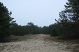 2024_12_26-11_32_33.jpg