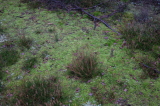 2024_12_26-11_57_15.jpg