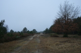 2024_12_26-12_10_00.jpg