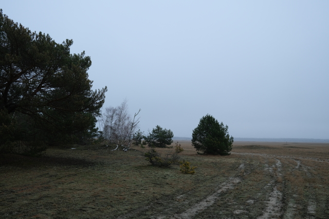 2024_12_26-11_05_36.jpg