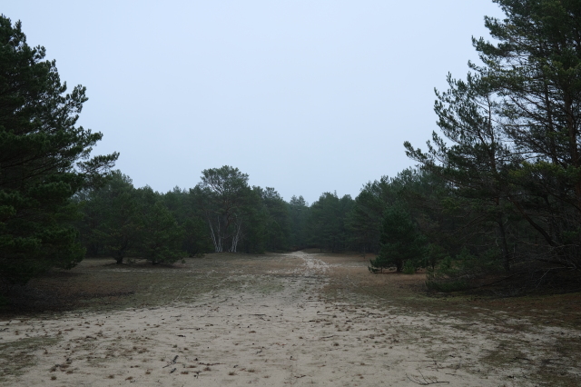 2024_12_26-11_32_33.jpg