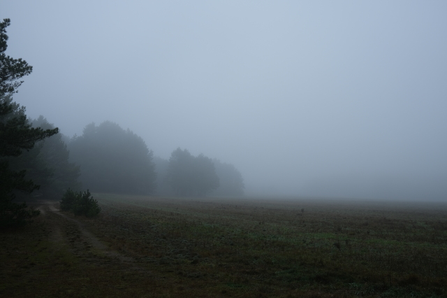 2024_12_26-12_54_00.jpg