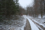 2025_01_05-12_33_41.jpg