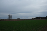 2025_03_30-12_02_14.jpg