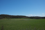 2025_04_06-11_56_29.jpg