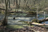 2025_04_06-13_01_15.jpg