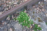 2025_04_06-16_50_39.jpg