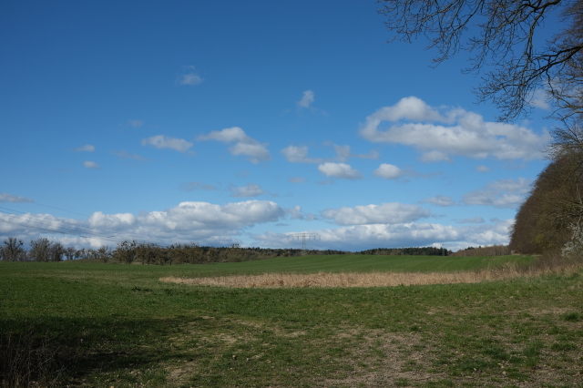 2025_04_06-10_55_24.jpg