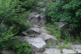2026_07_26-11_35_34.jpg