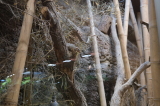 2026_07_26-11_46_22.jpg