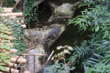 2026_07_26-12_12_56.jpg