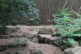 2026_07_26-13_32_03.jpg