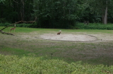 2026_07_26-13_50_51.jpg