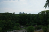 2026_07_26-14_46_28.jpg