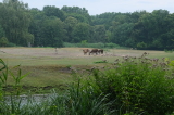 2026_07_26-15_41_33.jpg