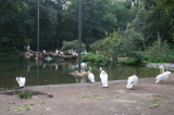 2026_07_26-15_43_49.jpg