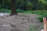 2026_07_26-15_44_01.jpg