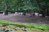 2026_07_26-16_16_01.jpg