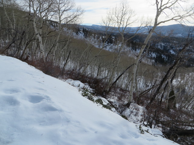15_01_10-10_03_01.jpg