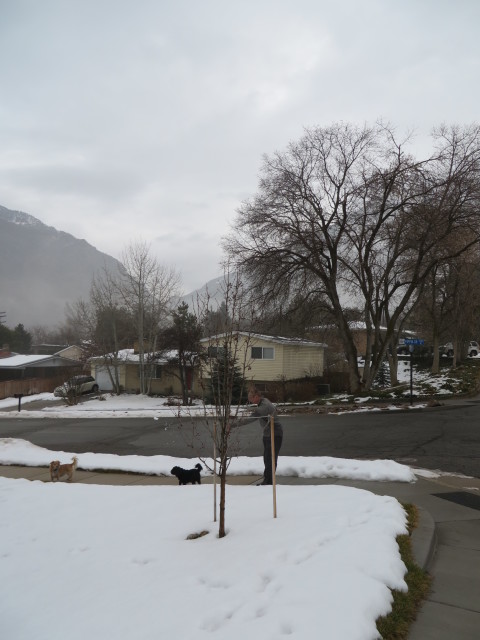 15_01_11-10_25_31.jpg