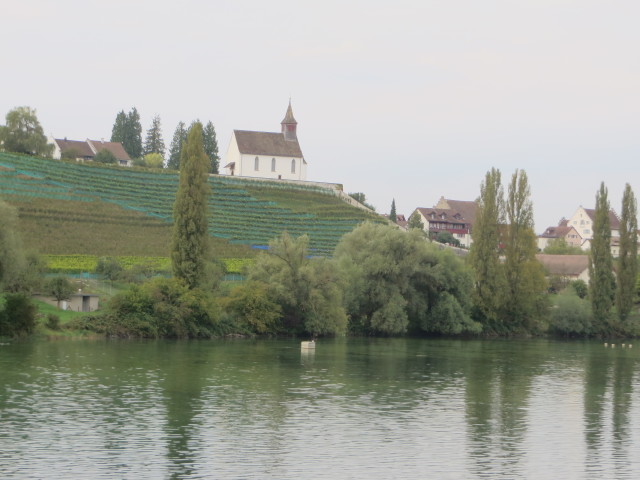17_36_10.jpg
