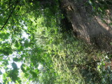 2020_08_11-10_20_53.jpg