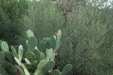 2024_10_07-13_28_00.jpg