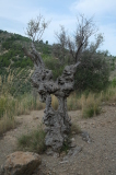 2024_10_09-09_46_59.jpg